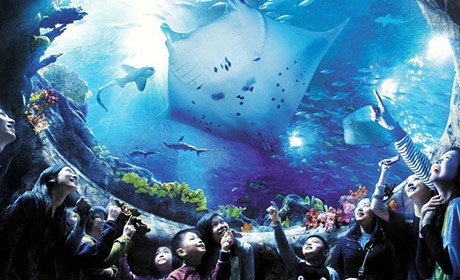 <香港1日游>观光+海洋公园畅游纯玩