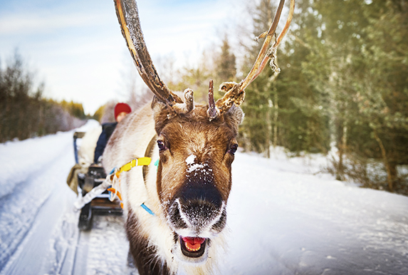 <一路向北-惠品芬兰一地极光10日游>3 晚北极圈、邂逅北极光、拉普兰极地撒欢、特别体验 VR 极地列车、圣诞老人村、赫尔辛基双飞十日游